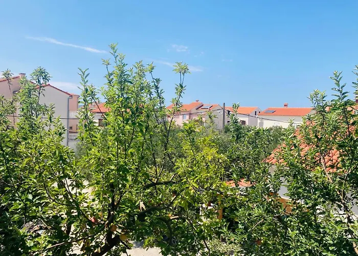 Apartment Mrkic